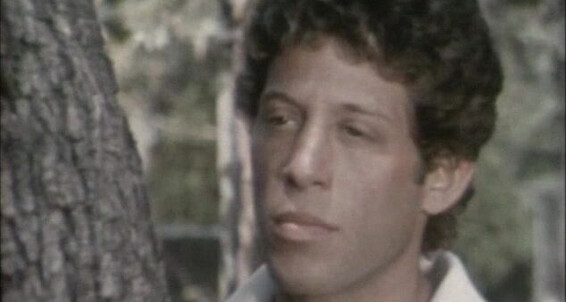 "Kevin Redding, Nick Rodgers, Greg Dale, Derrick Stanton, Jim Battaglia, Mark Bitler, Jerry Foxe, Peter Borchard" Solo, Vintage, Plot Based, Anal, Oral The Idol Hand-in-Hand Films