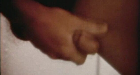 "Kevin Redding, Nick Rodgers, Greg Dale, Derrick Stanton, Jim Battaglia, Mark Bitler, Jerry Foxe, Peter Borchard" Solo, Vintage, Plot Based, Anal, Oral The Idol Hand-in-Hand Films