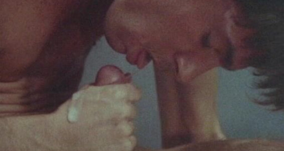"Steve Taylor, Chris Burns, Dixon Hardee, Mike Braun, Jim Rogers, Jeff Stevens" vintage, dildo, oral, anal, autofelation, glory holes, selfsuck, masturbation Dangerous Surge Studios / Bijou