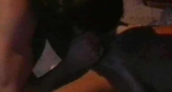 "Butch Taylor, Tim Lowe" Anal, Plot Based, Classic, Oral Fratrimony All Worlds Video
