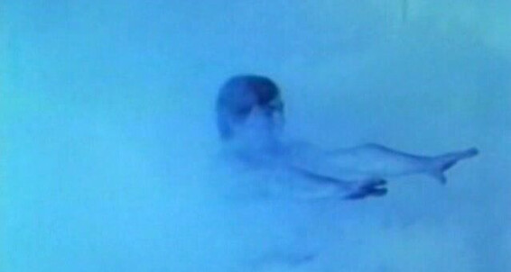 "Bob Weaver, Ted Lee, Garth Lennox, Larry Hannify, Clark King, Marty Oliver" Glory Hole, Orgy, Leather, Twink, Cowboys, Wrestling, Rimming A Dream Of Body Bijou Classics