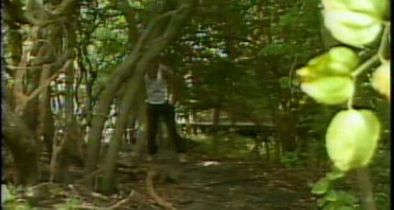 "Pat Allen, Casey Donovan, Dave Connors, Tony Williams, Paul Irish, Victor Houston" Oral, Anal, Vintage Boys in the Sand 2 Real Time Productions