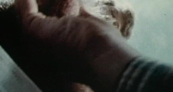 "Bob Moore, Greg Dale, J.J. McCarthy, John Charles, Kurt Williams, Lance Whitman, Larry Richards, Lee Mann, Sam Benson, Shawn Victors, Tim Barnes" Masturbation, Fingering, Cumshots, Oral, Rimming, Bareback, Muscles Cute Boys Rule Catalina Video