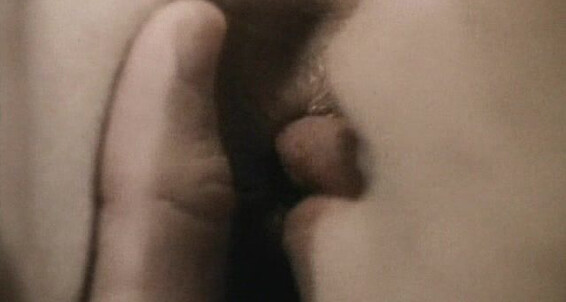 "Bob Moore, Greg Dale, J.J. McCarthy, John Charles, Kurt Williams, Lance Whitman, Larry Richards, Lee Mann, Sam Benson, Shawn Victors, Tim Barnes" Masturbation, Fingering, Cumshots, Oral, Rimming, Bareback, Muscles Cute Boys Rule Catalina Video