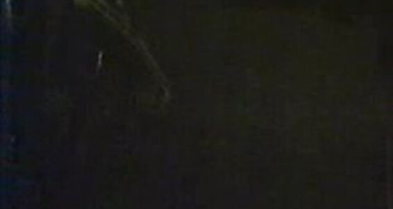 "R.J. Reynolds, Sal Vinik, Ron Zale, Rod Canyon, Lex Kelly, Bob Marsh, Bill Stanford, Eric Clements, Greg Dale, Derrick Stanton, J.W. King, Shaun Victors" Shot on film, Muscles, Oral, Collection, Threesomes, Anal, Vintage Wet Shorts Laguna Pacific, Catali