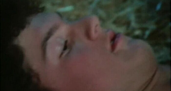 "Tex Anthony, J.T. Denver, Jim Erickson, Brian Estevez, Terry Evans, Grant Fagan, Michael Gere, Ken Kerns, Christopher Lance, Francois Papillon, Troy Ramsey" Young Mans, Rimming, Masturbation, Group Sex, Precondom, Oral, Cumshot The Young & the Hung Catal