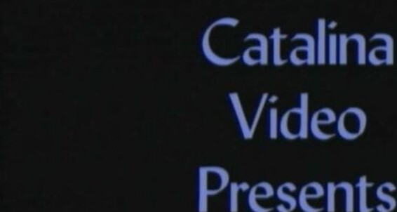 "Tony Chan, Danny Chance, Jackie Choi, Billy Chow, Ricky Fernandi, Gino Gultier, Eric Rivilla, Mark Shou, Chris Sullivan, Joey Verro, Al Wong" Duet, Oral, Threesome, Asian, Blowjob, Cumshots, Masturbation Asian Men Do Catalina Video