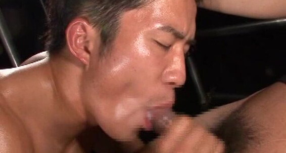 "Gay boy" Muscle, Oral, Rimming, Twinks, Cumshot, Masturbation, Fingering, Asian Pride KO Company, Beast