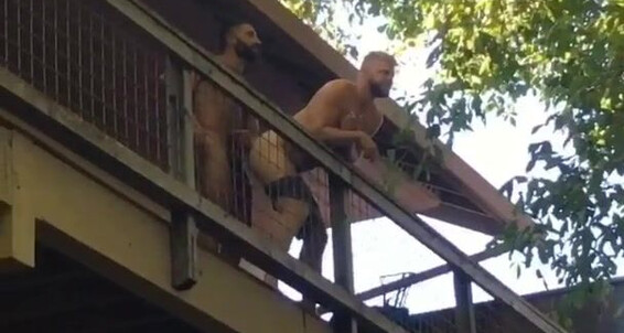 Logan Stevens Giving The Bro Bachelor Party In The Vacation Rental Next Door A Little Show Just Kidding We Were Being Kinda Shy