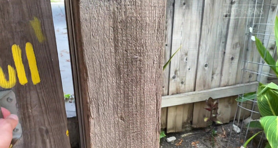 Logan Stevens Went To Go Bother The Sharok Because I Was Hungry For His Load Found Him Working Out And Took Him To The Back Yard Where He Gave Me Not One But Two Loads