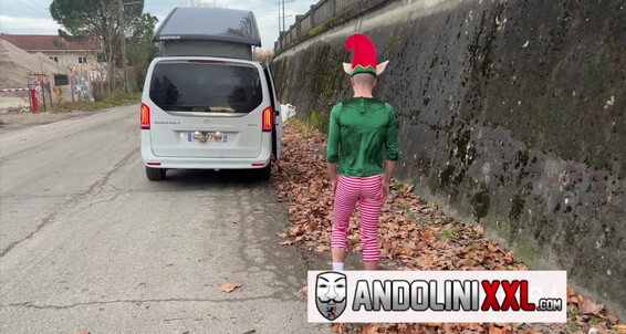 Andolinixxl The Christmas Elf Andolini Mysterx