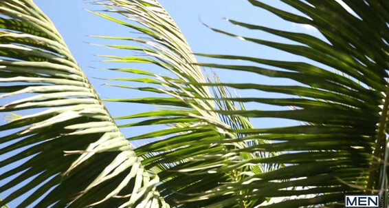 "Gay Boy" Cumshots, Masturbation, Big Dick, Muscle, Rimming, BlowJob, Anal, HandJob Partners 2 №1 Gay SiteRip