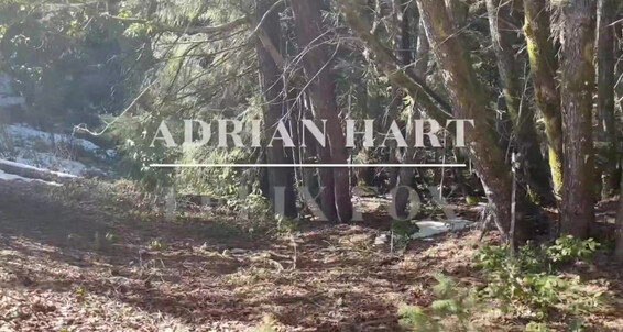 "Adrian Hart (aka AdrianHartLA), Felix Fox" Tattoos, Interracial, Big Dick, Bareback, Rimming, Cumshots, Kissing, Outdoors, Muscles, Anal Sex, Blowjob Adrian Hart & Felix Fox Gay SiteRip