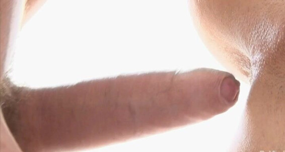 "Adam Archuleta, Roald Ekberg, Jerome Exupery, Marcel Gassion, Helmut Huxley, Brian Jovovich, Hoyt Kogan, Robin Michaux, Marc Ruffalo, Torsten Ullman" Big Cocks, Oral Sex, Facials, Anal Sex, Group Sex, Twinks, Duet, Outdoor, Orgy, Kissing, Cumshots, Bareb