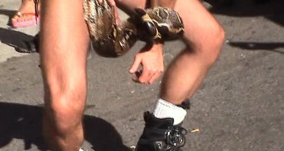 "Dawson, Jesse O'Toole, Damon Dogg" piersing, documentary, amateur, leather fetish, cum eating, oral, piss ingestion, cumshots, pissing, blowjob Treasure Island men at Folsom 2004 Treasure Island Media