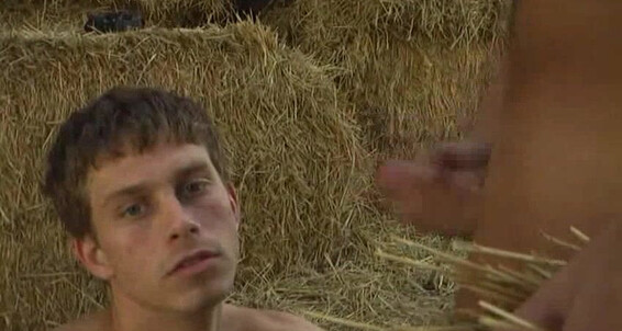 "Gay Boy" Smooth Bodies, Shaven, Bareback, Facial Cumshots, Fresh Faces, Teens, Gay Inglorious Guys Vimpex - Lucky Youngsters