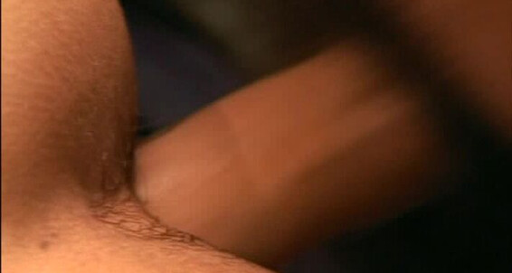 "Benjamin Roth, Jonas Anderson, Martin Lame, Roberto Cruiz, Mark King, Joe Baker, Corey Fox, Roy Garcia, Georgio Romano, Paul Davis" Twinks, Cumshot, Bareback Actions, Amateur Virgin Asses Hammer Entertainment