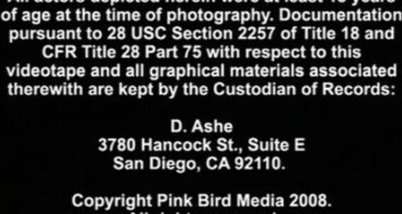 "Brent Corrigan, Kaden Saylor, Devin Moss, Thomas, Elijah, Spencer, Cash, Chaz, D.J., Gage" group, anal, oral, trio The Porne Identity Dirty Bird Pictures