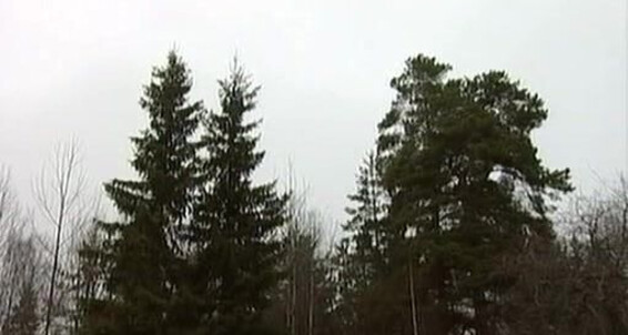 "Andy Black, Bobby J. Brown, Dorian Sin, Ignat Magnat, Moris Grand, Stas Griva, Stas Marcus." Twinks, Group Sex, Cumshot, Anal, Spunks, Bareback, Sucking Barrack Tails Scandinavian Erotic Video Production