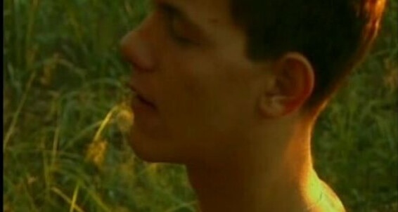 "Antonio, Carl Heinz, Johann Sven, Rolf, Roman, Segie" anal, oral, safe sex, twinks, outdoor, couples, masturbation In The Tall Grass 18 Today / Tino Video / The French Connection