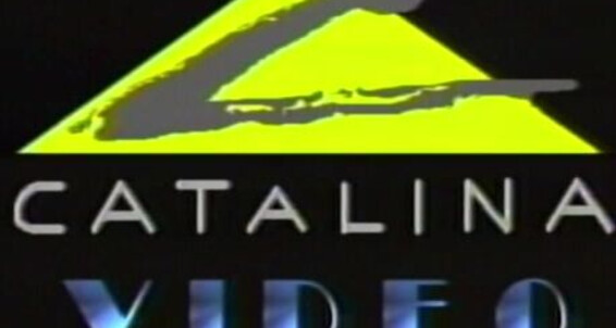 "Chaz Carlton, Dino DiMarco, Dino Phillips, Patrick Ives, Steve Rambo, Wayne Montgomery" Masturbation, Muscle, Hunks, Solo, Hairy Right Hand Man Catalina Video, Laguna Pacific, Channel 1 Releasing