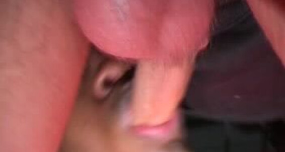 "Boris, Max, Moussa, Nico, Nico, Samir the Begar, Tarek, Thomas, Yass, Zinedine" big dicks, anal sex, oral, threesomes, interracial, masturbation, rough sex, rimming, arabian guys Wesh Cousin 3 Mate la puissance Citebeur