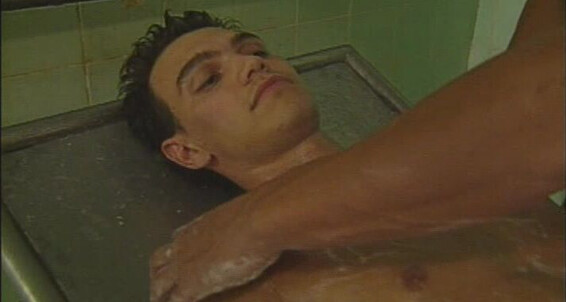 Erotic, Muscle Pools Of Desire Greenwood/Cooper
