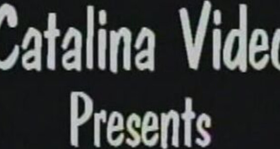 Big Cocks, Oral Sex, Anal Sex Overnight Deliveries Catalina Video