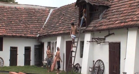 Orgy, Anal, Rimming, Bareback, Muscle, Masturbation, Cumhots, Oral Packed Raw Catalina Video