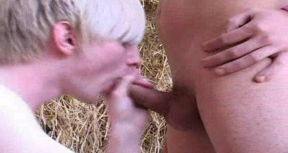 Twinks, Cumshot, Group Sex, Bareback, Anal, Spunks, Sucking Will's Bareback Initiation Rentboy