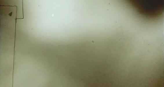 oral, twinks, masturbation, precondom, anal, vintage Schoolmates 2 Bijou Video