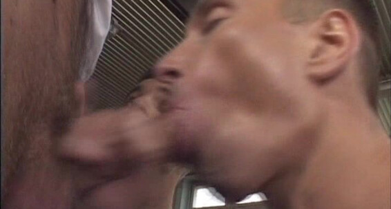 "Rick Bauer, Kevin Cage, D. Camillo, Jonathan Collins, Ted Colunga, Fabrizio, Randy JonesLeslie, Maurizio, Mario McGabe, Akos Piros, Scott Portman" Hairy, Oral, Anal, Muscles, Bodybuilders, Rimming, Masturbation, Fingering Heavy Industry Elite Male