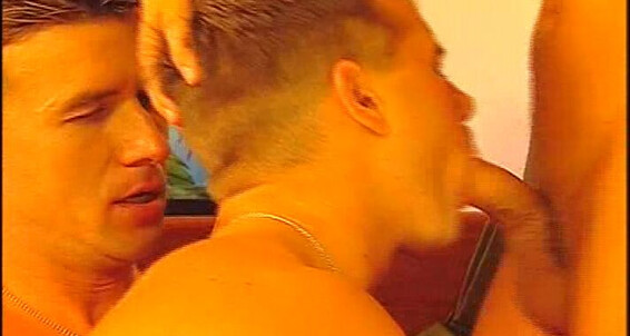 "Adam Gervay, Arpad Majoros, Attila Rajnay, Daniel Kilmer, Frantisek Dvorak, Ivan Rasilov, Massimo Ferzetti, Norbert Somlay, Pavel Nemec, Rick Bauer, Roberto Giorgio" European, Anal Sex, Uncut Cocks, Big Loads, Big Cocks, Smooth, Bodybuilders, Military Ba