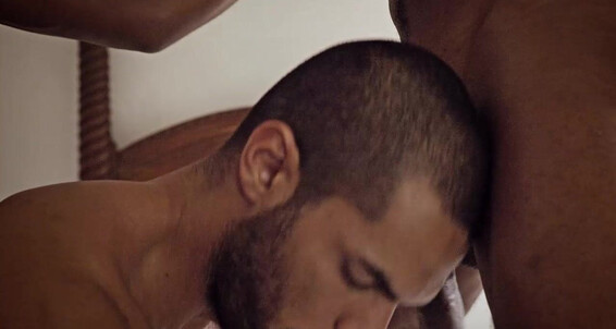 "Ace Era (" Tattoos, Black, Kissing, FlipFlop, Interracial, Bareback, Rimming, Cumshots, Uncut, Group, Toys, Blowjob, Anal Sex, Threesome Ace Era Tops Sean Xavier and Lucas Fox Gay SiteRip