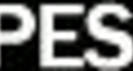 rapesection Gay Siterip