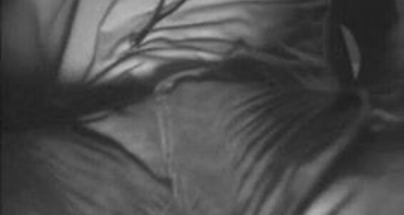 "Gay Boy" cum swallow, cruising, blowjob, amateur ExCampusGloryhole, Stoner) Gay Siterip