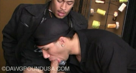 "Gay Boy" Black, Group Sex, Oral, Tattoos, Threesome, Latino, Huge Dick, Cum Shots, Muscles, Safe Sex Big Dick Reunion Gay SiteRip