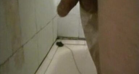 "Gay Boy" shower Friendly Shower Gay SiteRip