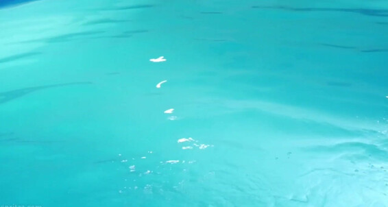"Harry Vakkler, David Foster" Twinks, Masturbation, Fingering, Blowjob, Kissing, Anal, Uncut, Jock, Bareback Poolside Fucking For Snowboarding Bros Gay SiteRip