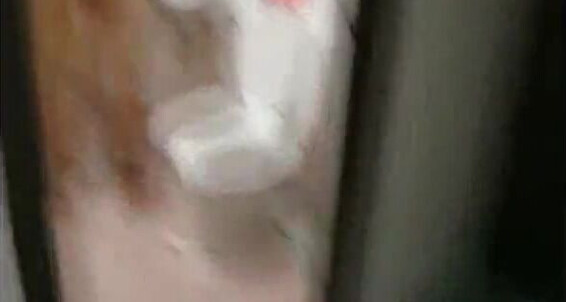Asian Gays 480P 600K 139572052