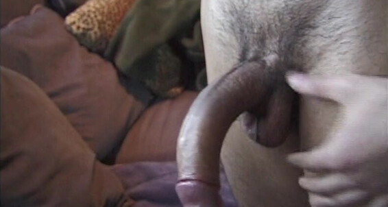 "Jay, Navon, Miguel, Mike, Taino, Alex, Champo, Domingo." Black, Gagging, Muscular Men, Piercings, Oral, Big Dicks, Uncut Cocks, Latino Barrio Bordello Latino Fan Club