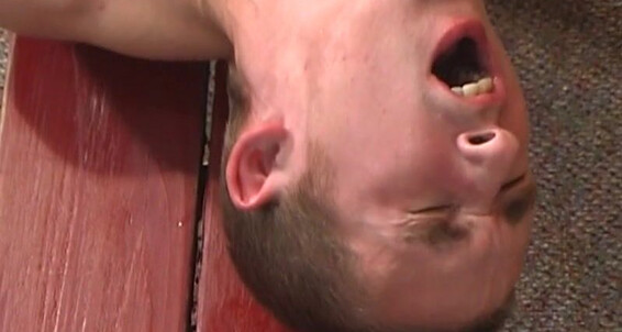 "Colin , Brent Corrigan , Kasey , Levi , Barrett Long , Brant Moore , Kaden Saylor , Seth , Mason Wyler" Twinks, Cumshots, Threesomes, Big Dicks, Facials, Blow Jobs THE PORNE ULTIMATUM Dirty Bird Pictures