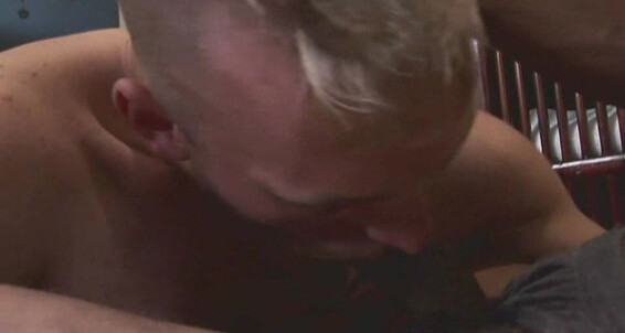 "Marcus Iron, Sage Daniels, Nick Forte, Danny, Parker, George Glass, Tony Vega, Dean Rogers, Jordan James, Noel, Gordon, Sayed, Eladio, Tennessee, Joey, Bill, Tyler, Brandt, Stallion, Paul, Scott, and more." Big Dick, Cumshot, Oral, Oral and Oral SEX, Fac