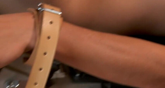 "Jordan Fox, Luke Desmond, Greg Centuri, Skyler Blu, Troy Daniels, Lloy Adams, Chris Young, Christian Martin, Lucas Davidson" Fetish, Rimming, Oral, Big Cocks, Masturbate, Twinks Prison Camp 2 Anal Assault Young Bastards