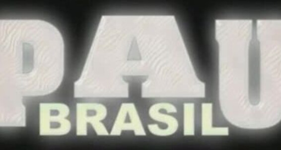 "Alan Bueno, Apollo Max, Caio Peron, Felix Lins, Gustavo Moreira, Leo, Rock, Tommy Castelleri, Yuri" Anal, Muscle, Group Sex, Cumshots, Oral, Latino Levando Ferro Gay SiteRip