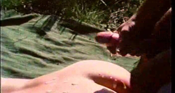 "Peter North (" Precondom, Incest, Anal, Cum shots, Blowjob, Facial, Vintage, Group sex, Classics Cousins. William Higgins Catalina Video
