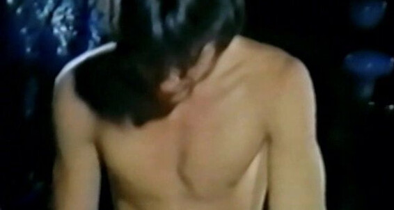 "Steve, Toby Laurence, Russ, Gary, Ross, Ed, Phil, Stan, Rod, Bill, Terry, Jack Wrangler, Jeff, Del" PreCondom, Oral, Cumshot, Classic, Masturbation, Voyeur Voyeur Boys Bijou Classics, Nova