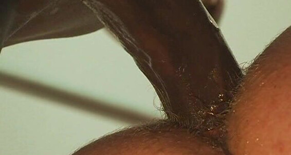 "Ian Jay, Dan Fisk, Jerry Stearns, Brad McGuire, Derek Anthony, Marcello Masko, Roman Pearce ..." Anal, Hunks, Group, Black, Hairy, Oral Breeding Ian Jay Treasure Island Media