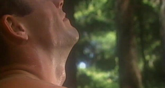 "Casey Jordan, David Sexton, Jon King, John Davenport, Robert Harris, Chris Williams, Tom Rucker, Tony Marino, Ron Pearson" Oral, Cumshot, Rimming, Precondom, Masturbation, Group Sex, Anal Sex, Young Mans Perfect Summer Falcon Studios