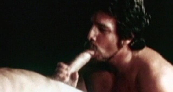"Barry, Bill Harrison, Dan Pace, Fred Stolle, Jack Dover, Jack Wrangler, Jim Richards (70s), John Coletti, John Holmes, Merle French, Nick Rodgers, Peter Avery, Roger (70s), Roy Allen, Steve Davidson, Wade Ford" Solo, Smooth, Threeway, Oral Sex, Classic, 